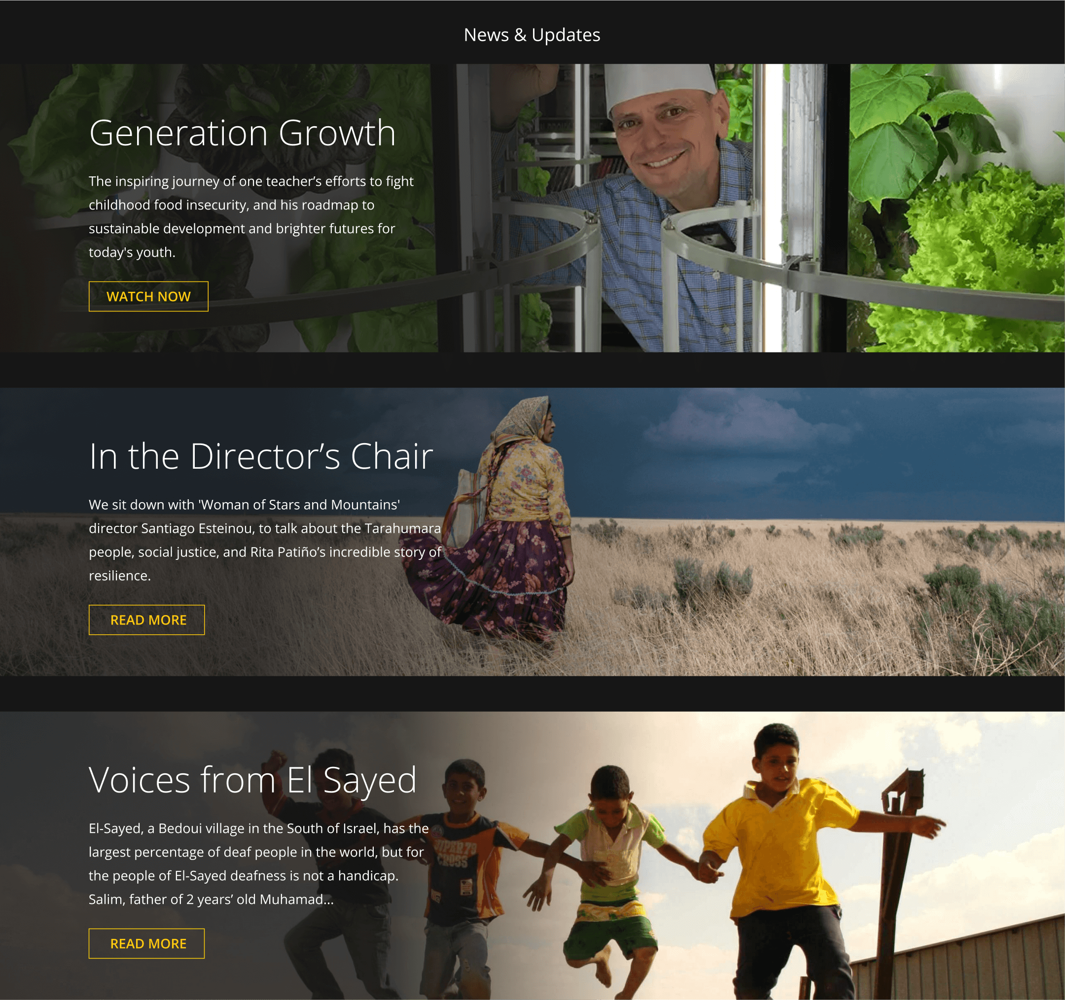 website design Harnessing the Power of Visuals